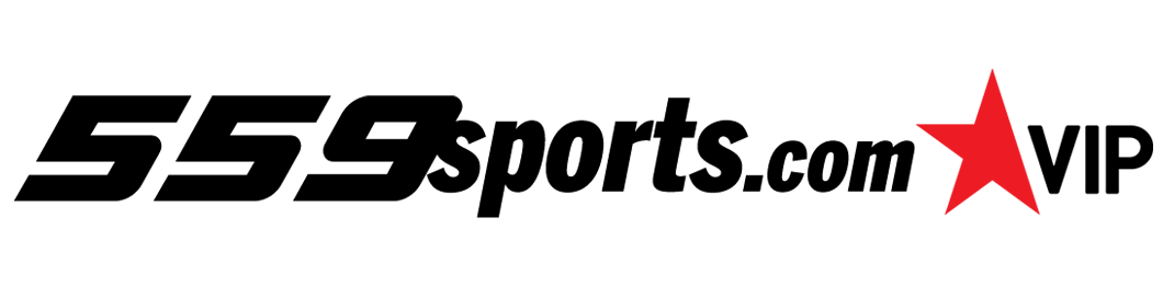 playersVip_logo
