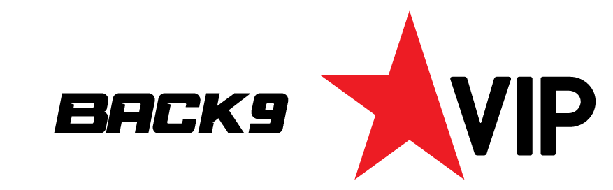 playersVip_logo
