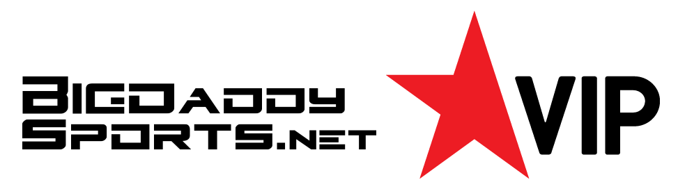 playersVip_logo