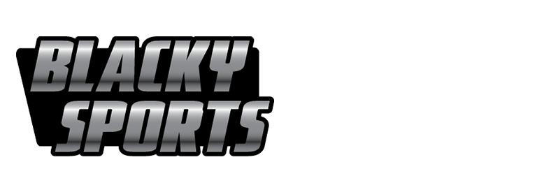 playersVip_logo