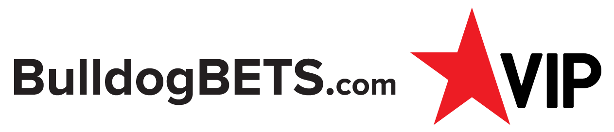 playersVip_logo