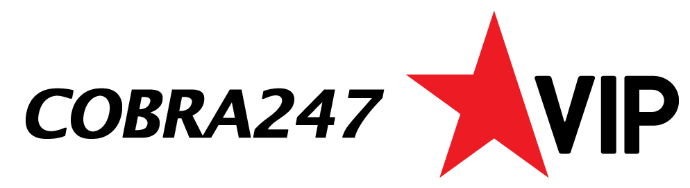 playersVip_logo