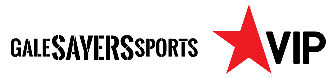 playersVip_logo