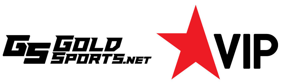 playersVip_logo