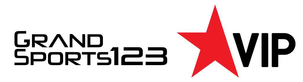 playersVip_logo