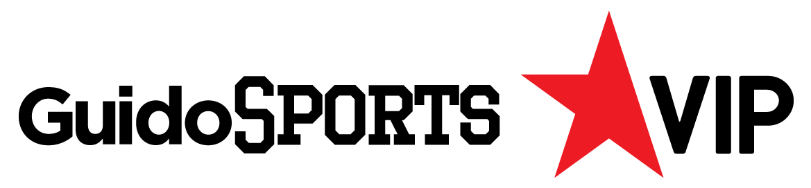 playersVip_logo