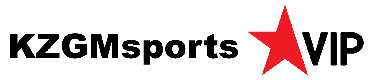 playersVip_logo