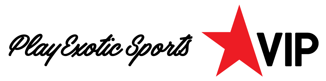 playersVip_logo