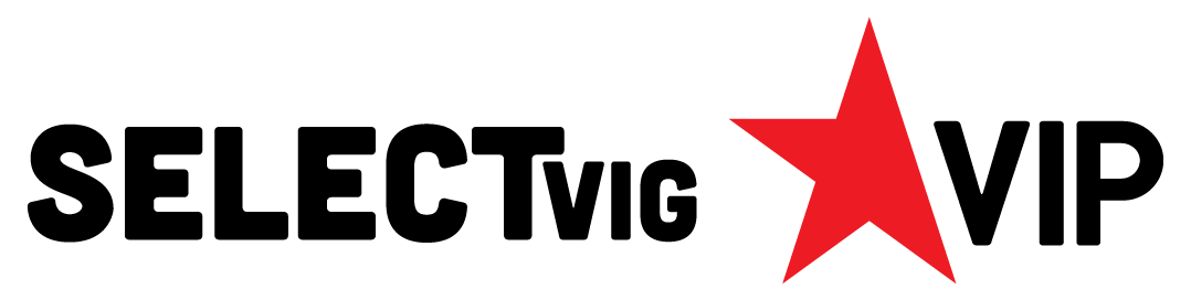 playersVip_logo