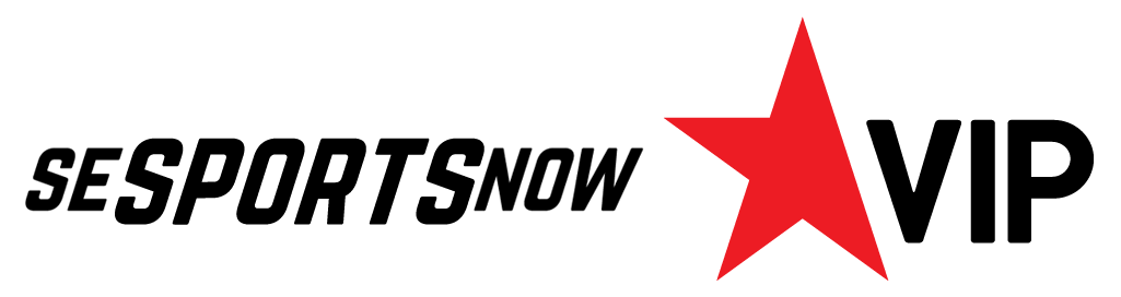 playersVip_logo