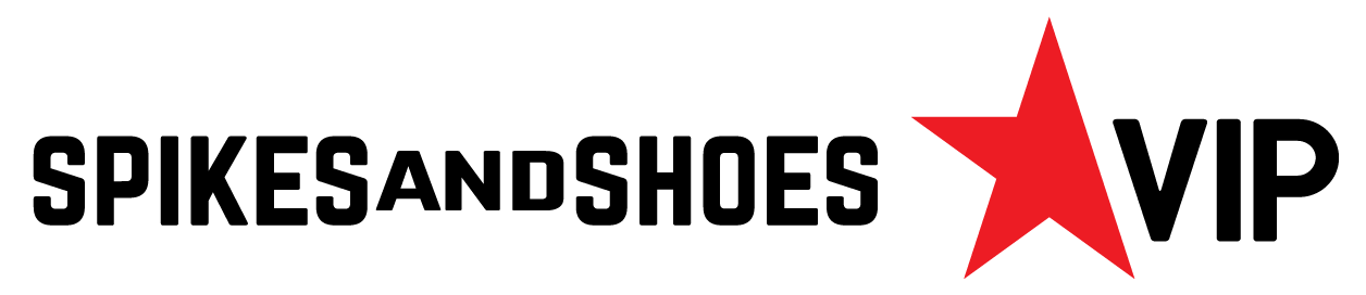 playersVip_logo