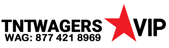 playersVip_logo